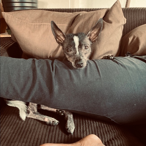 Meet your Posher, Tiffany - Picture 3 of 4